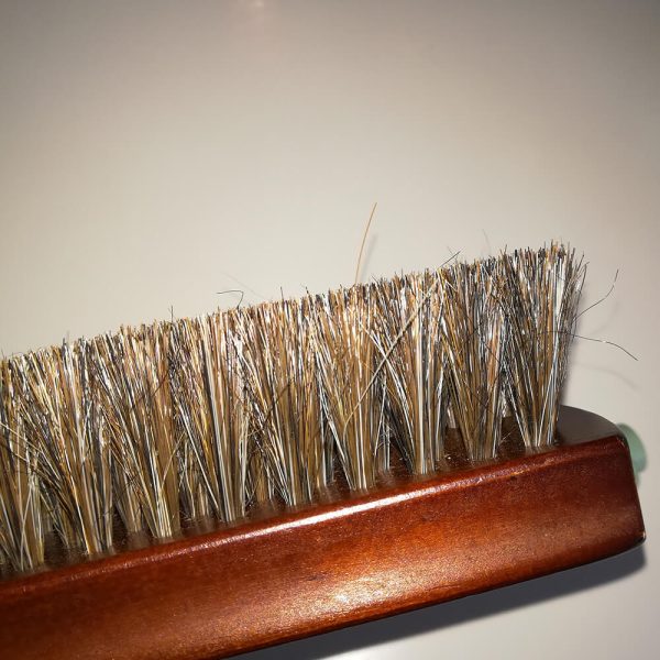 horse hair brush
